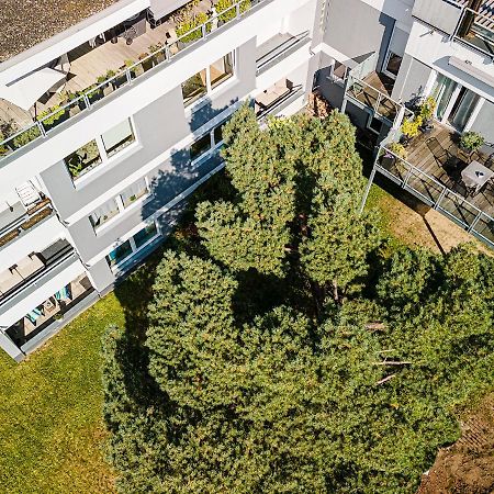 Ferienwohnungen Riese - Weitblick Arnsberg Kültér fotó